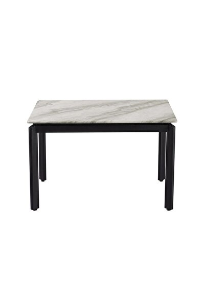 Danube Home Flash 4-Seater Marble Top Dining Table - Elegant White Grey/Black Finish, 2-Year Warranty