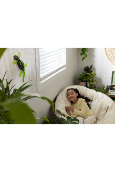 Hex Bots Green Gecko Climbing Toy with Remote