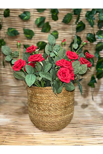 Ekodoğa Dekoratif Doğal El Örmesi Kulplu Hasır Orta Boy Saksı Sepeti