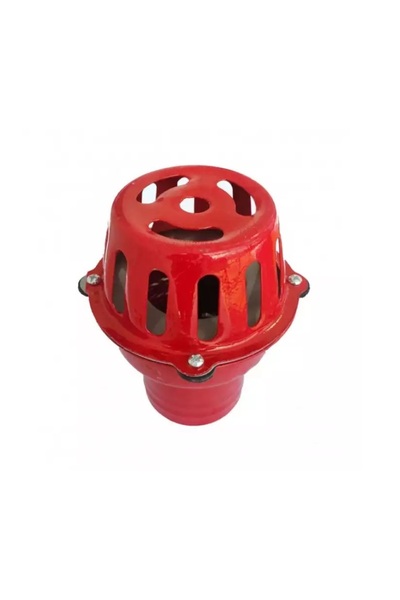 Micul Meserias Sorb Motopompa cu clapeta - 2 Toli (metal)