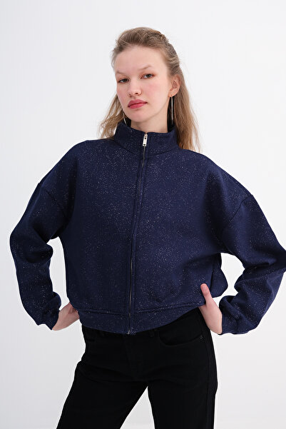Addax Silvery Fleece-Lined Sweatshirt H12705