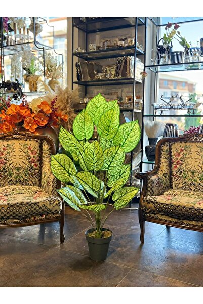 Çiçek Box Yapay Kraton Ağacı 110 cm Geniş 23 Yapraklı