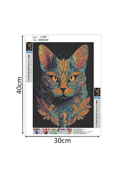 DELPI Diamond Embroidery Mandala Cat 40 x 30 cm