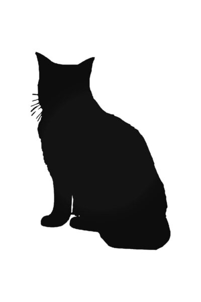 EYBA STİCKER ملصق حائط للسيارة من تابي كات مقاس 20 سم