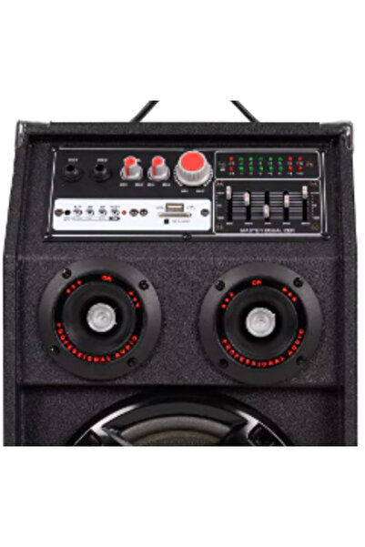 OEM KTA 284 Professional Speaker Set with Wireless Microphone Remote Control and Light Show