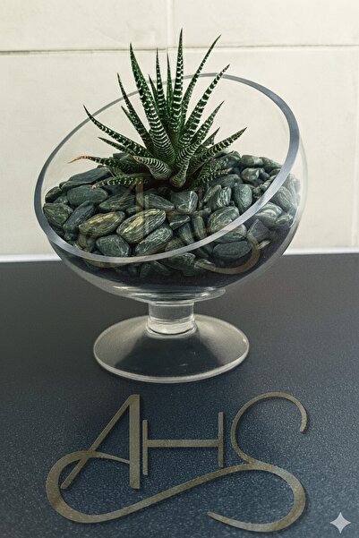 AHS Green Angel Dolomit Çakıl Taşı Yeşil Beyaz Çizgili 1-2 Cm 1 Kg Dekoratif ...