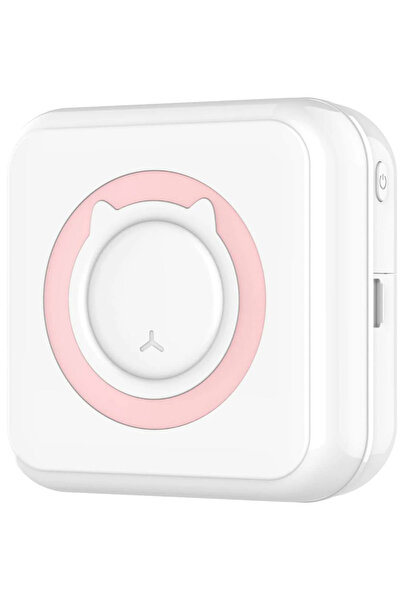 OEM Mini thermal printer set and 10 paper rolls