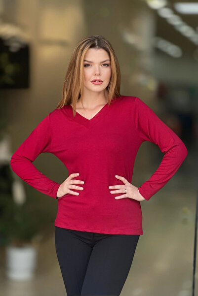 aytemas V-Neck Basic Blouse