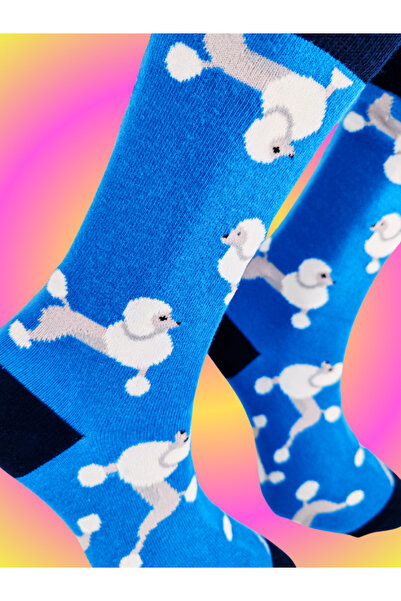 Shuttle Park Special Series Happy Colorful Cute Dog Patterned Dog Socks Fun Comfortable Stylish Design Style Socks