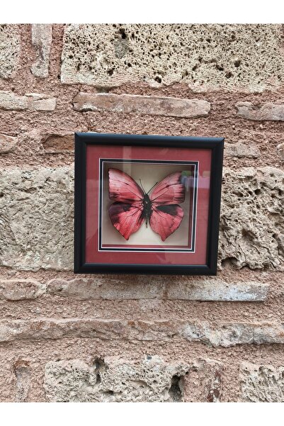 Demet Sanat Atölyesi KAĞIT RÖLYEF KELEBEK TABLO (25*25)