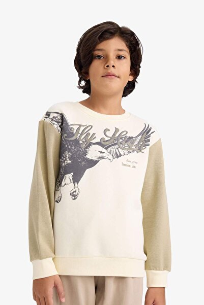 DeFacto Φούτερ για αγόρια με λαιμόκοψη με τύπωμα με μαλακό χνούδι εσωτερικά G5554A825CW