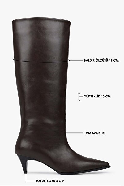 Shoeberry Women's Lula Brown Leather Short Pointed Heeled Boots