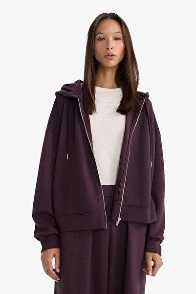 DeFacto Relax Fit Hooded Zippered Sweatshirt G4760Ax25Wn