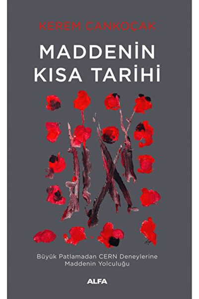 Alfa Yayınları Maddenin Kısa Tarihi / Kerem Cankoçak / / 9786253893668
