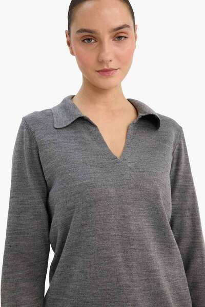 DeFacto Regular Fit Polo Neck Knitwear Sweater F0405Ax25Wn