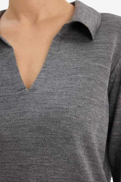 DeFacto Regular Fit Polo Neck Knitwear Sweater F0405Ax25Wn