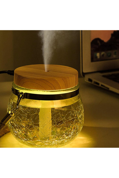 Mihai Humidifier with 8 LEDs 2W ABS 400 ml Transparent ANDOWL QZJ987