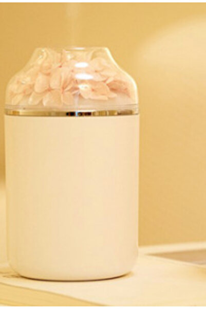 Mihai Mini portable humidifier RDE283 white/pink