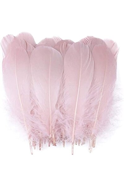 Arabest 100 قطعة من ريش الإوز الطبيعي للزينة ريشة من 4 إلى 7 بوصات لمهرجان ال...