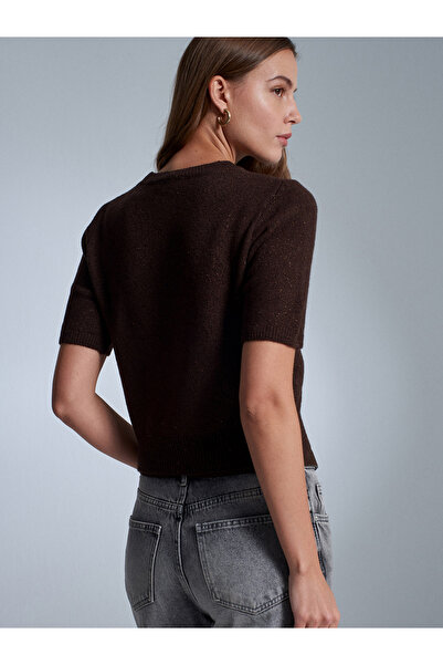 Dilvin 10703 guler rotund Pulover tricotat cu paiete- maro