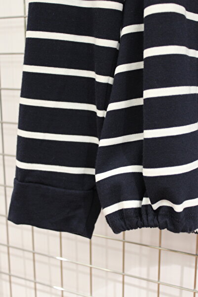 YXL COLLECTION Women's Plus Size Striped V-Neck Skirt Gathered Long Sleeve Blouse / Sweatshirt