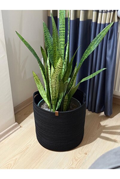 Thalia Home Multi-Purpose Organizer Black Basket, Cobalt Ilım, Organizer 36 X 36