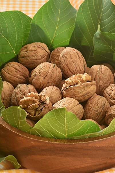 Ülkü Ceviz Kabuklu Ceviz Yerli Chandler Ince Kabuklu 3 Kg