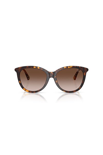 BURBERRY Sunglasses Be4455 55 421613