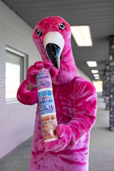 Core Nutritionals Creatine Monohydrate, 5g, 50 Servings (Fun Sweets Orange Cream)