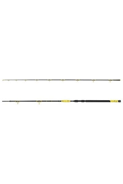 DELPHİN Set of 2 fishing rods, Delphin, Carbon, 3.1 m, Black