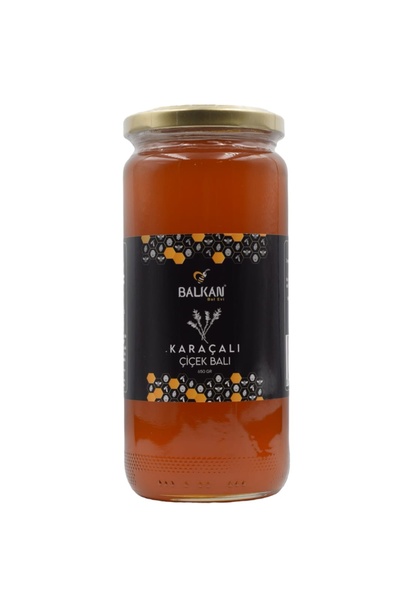Balkan Bal Evi Ham Karaçalı Balı 650 gr