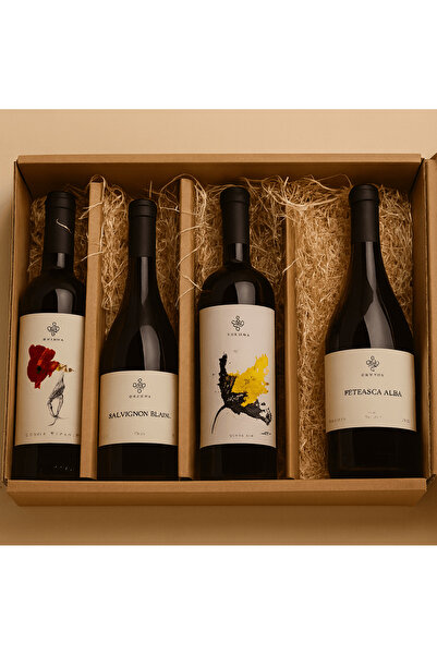 Gramma Anotimpuri Vol. 1 (Anotimpuri Vol. 1)