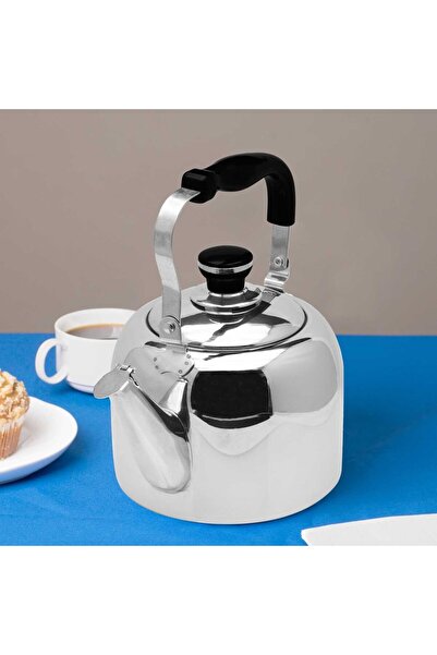 RAJ 6-Liter Tea Kettle (Stovetop)