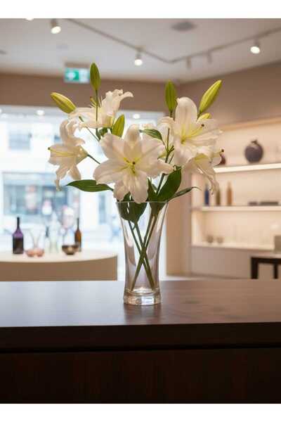 Paşabahçe Vazo Cam 25 cm Dekorasyon