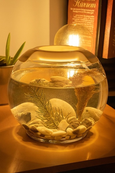 ALION FANUS AKVARYUM 3D BASKI AYDINLATMA GÜN IŞIĞI