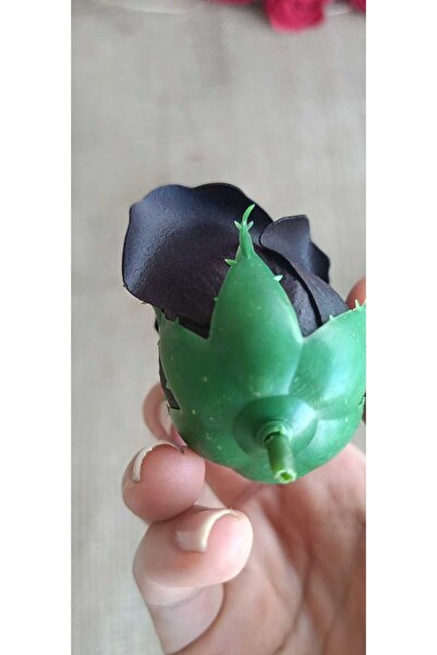 hobidaşım Trandafir negru parfumat – Set premium de 5