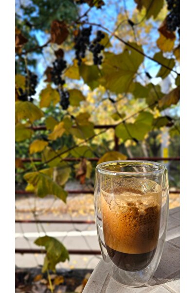 Casalina Double transparent glass 450 ml, heat-resistant glass