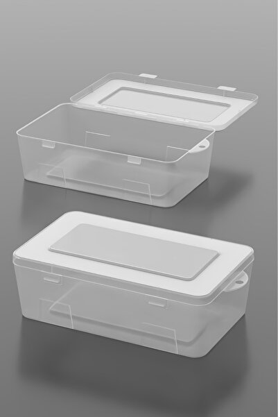Pufwin Home 2Pcs Storage Box Transparent Plastic Hobby Organizing Makeup Storage