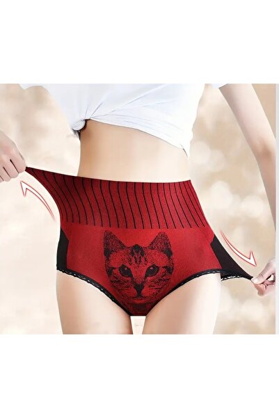 BBS Women's High Waist Stitch-Free Panties – Cat Printed Comfortable Underwear
