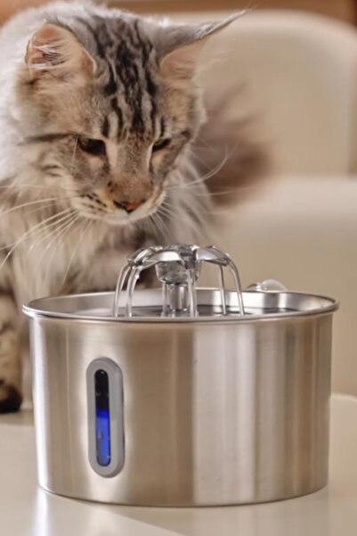 Aryuper Sensörlü 2.2 L Göstergeli Paslanmaz Çelik Kedi Köpek Için Su Pınarı Su Çeşmesi Su Sebili Bp02