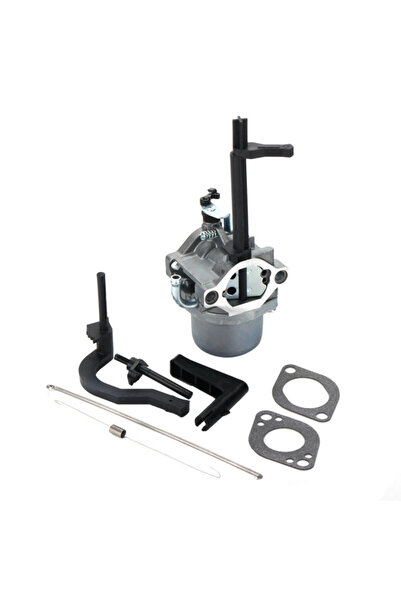 Farmertec Carburator Briggs&Stratton 591378, 699966, 699958