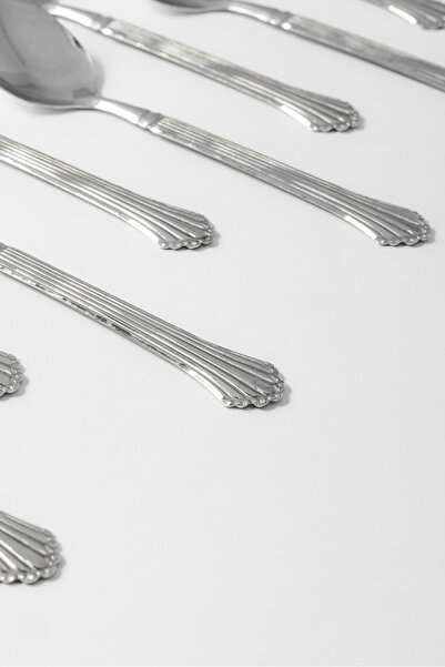 Bin Shihon 12-piece spoon set