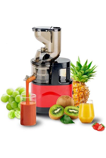 DubaiGallery Multifunctional Large Bore Mini Juicer, Electric Juice Extractor