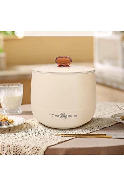 TERRIFI Portable Mini Rice Cooker 1.5L Non-stick Electric Hot Pot