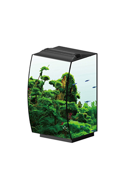 ANUBIAS AQUARIUM LIVE PLANTS Anubias Molly 36 Nano Akvaryum Siyah 36 x 32 x 5...