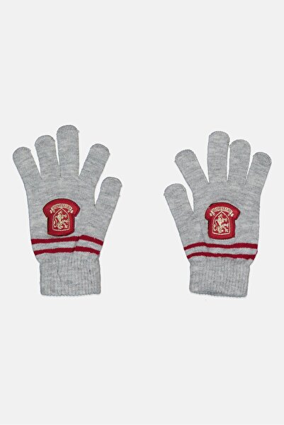 Sinsay زوج واحد من قفازات هاري بوتر للنساء، متعدد الألوان