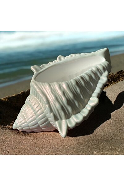 Büyük Boy Deniz Kabuğu Sedefli Renk Çok Amaçlı İstiridye Hediyelik Aksesuar Dekorasyon