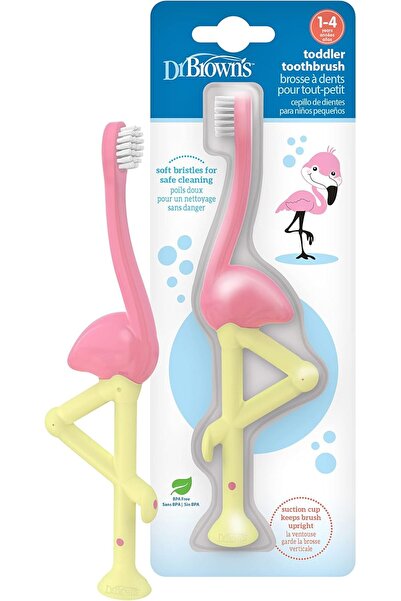genernic فرشاة أسنان دكتور براون للأطفال الصغار، فلامنغو، قطعة واحدة