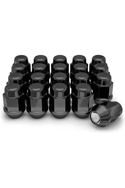 White Knight 1707SBK-20AM صامولة عروة منتفخة من خشب البلوط M12x1.50 من الكروم...