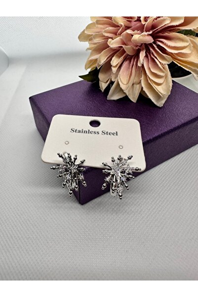 staınless steel Zircon Stone Star Congregation Modeled